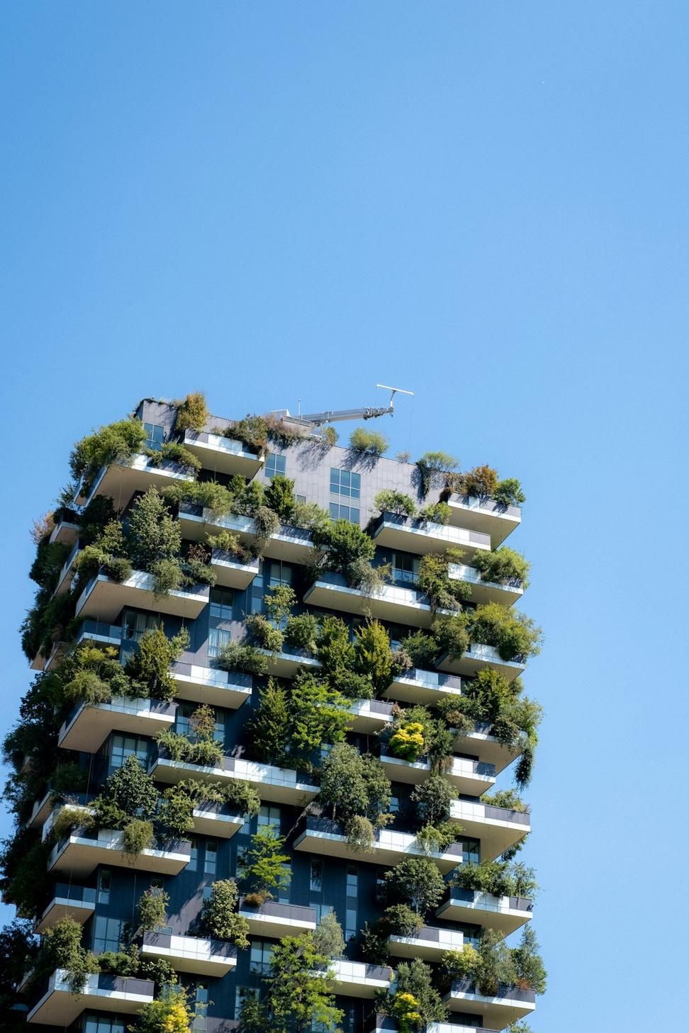 Sustainable Design Consulting