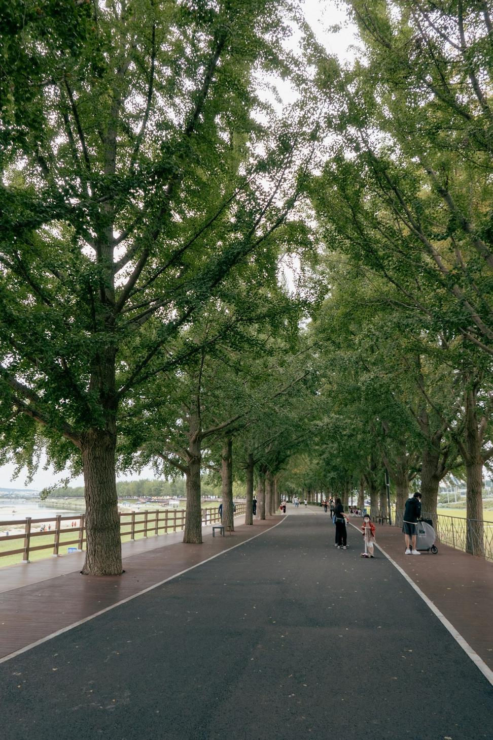 Waterfront Promenade Design